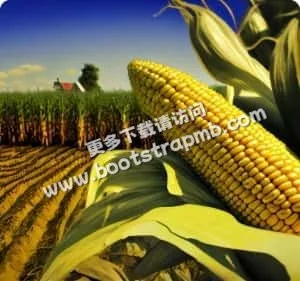 打造您的专属观赛主场 - 杏彩体育