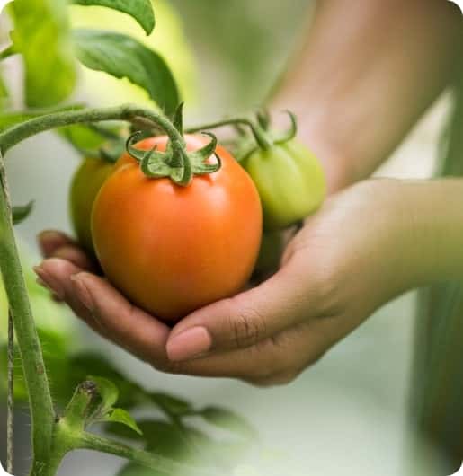 海量足球资讯，尽览球队动态 - 杏彩体育