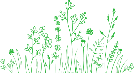 接收賽事資訊訂閱 - 杏彩体育