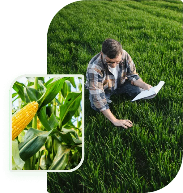Growing strong feeding farming futures - 杏彩体育